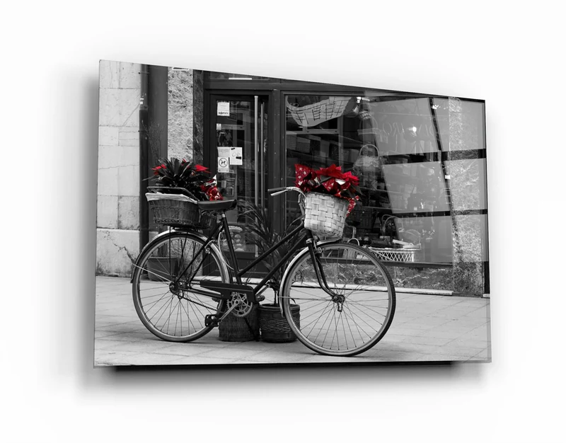 ・"Bicycle"・Glass Wall Art