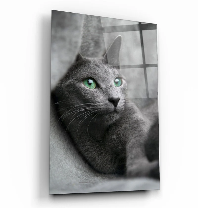 ・"Cat 2"・Glass Wall Art
