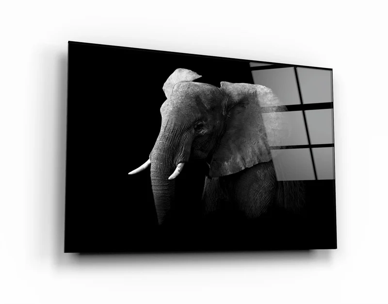 ・"Elephant"・Glass Wall Art